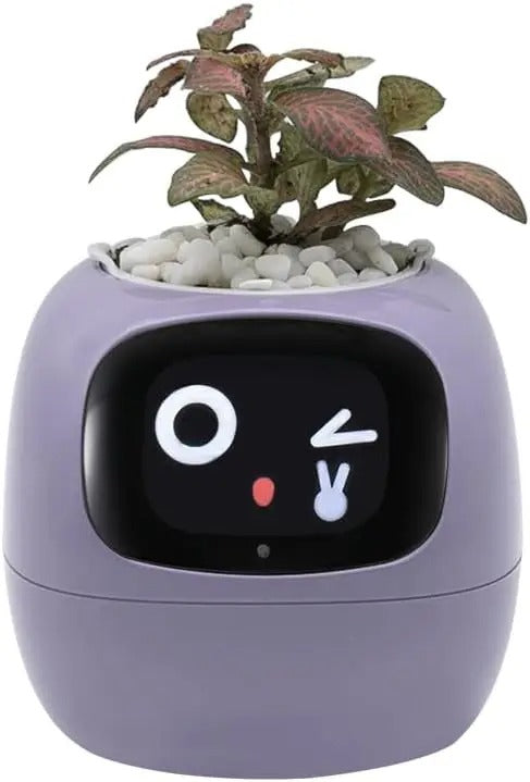 Smart Plant Pot